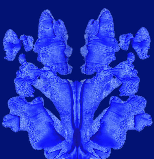 Image of a blue Rorschach test